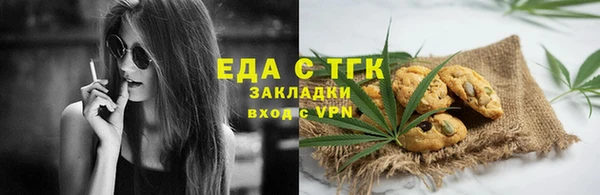 индика Богородицк